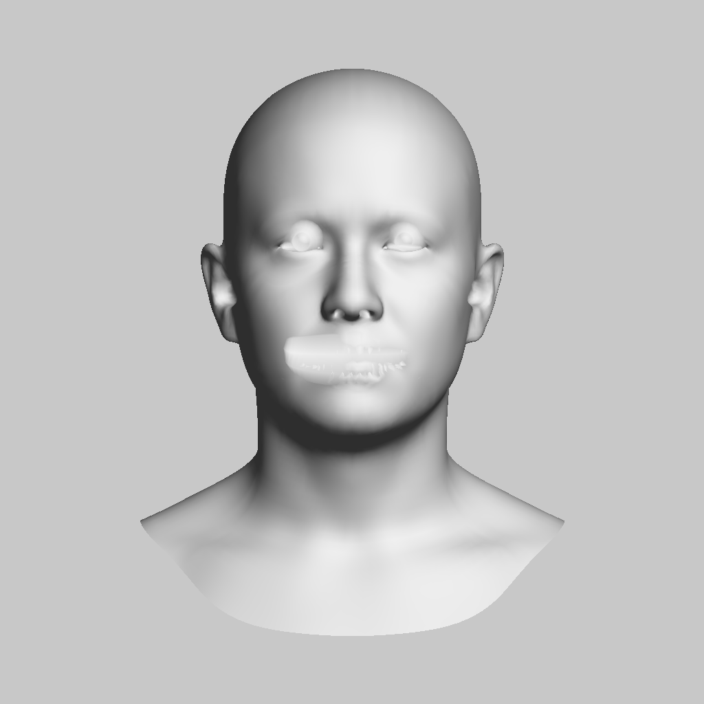 未フィット状態の GNM Head 中立メッシュを自前レンダラで描いたもの